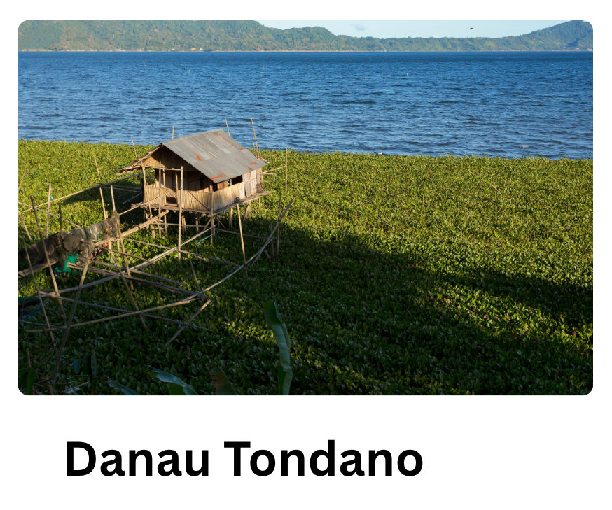 Danau Tondano